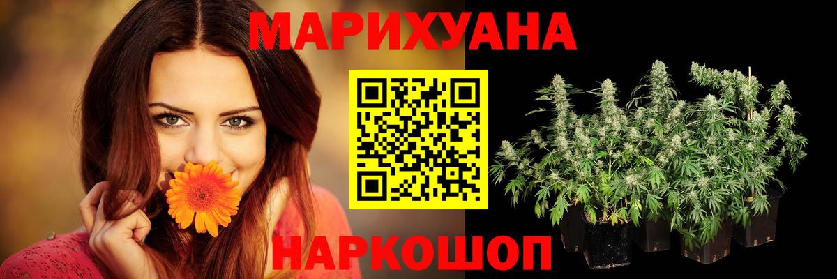 Шишки марихуана семена Кимры
