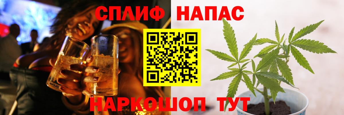 Кимры  МАРИХУАНА LSD WEED  Марихуана план  Вход с VPN 